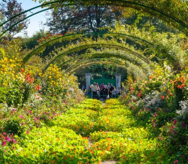 A Garden
